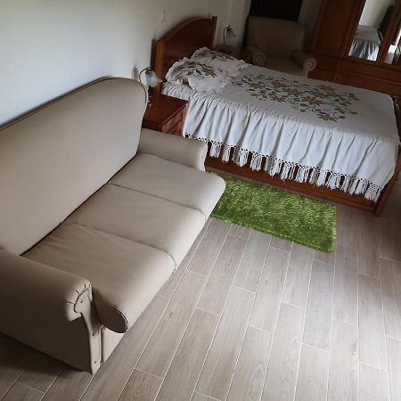 Casa Girao - Alojamento Local Termas de Sao Pedro do Sul Zewnętrze zdjęcie